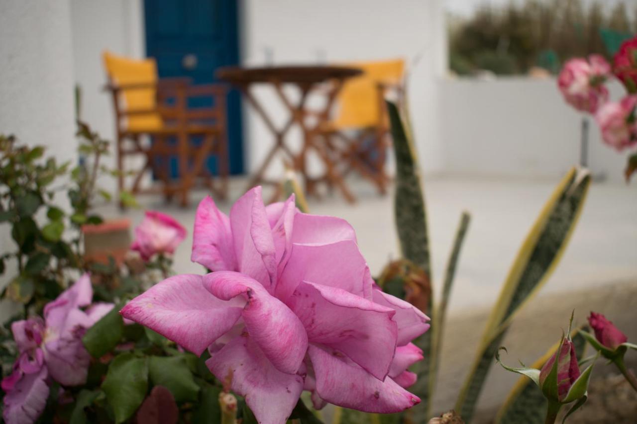 Onar Milos Junior * Adamantas (Milos)